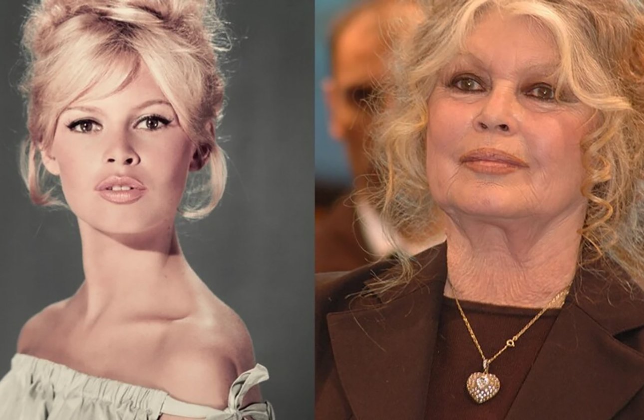 2022 01 brigitte bardot son evolution physique en images jpeg.jpg