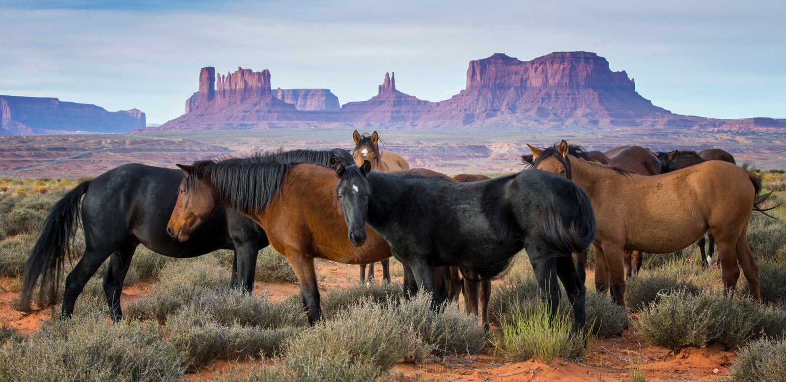 Monument Valley 8 Wild Ones small