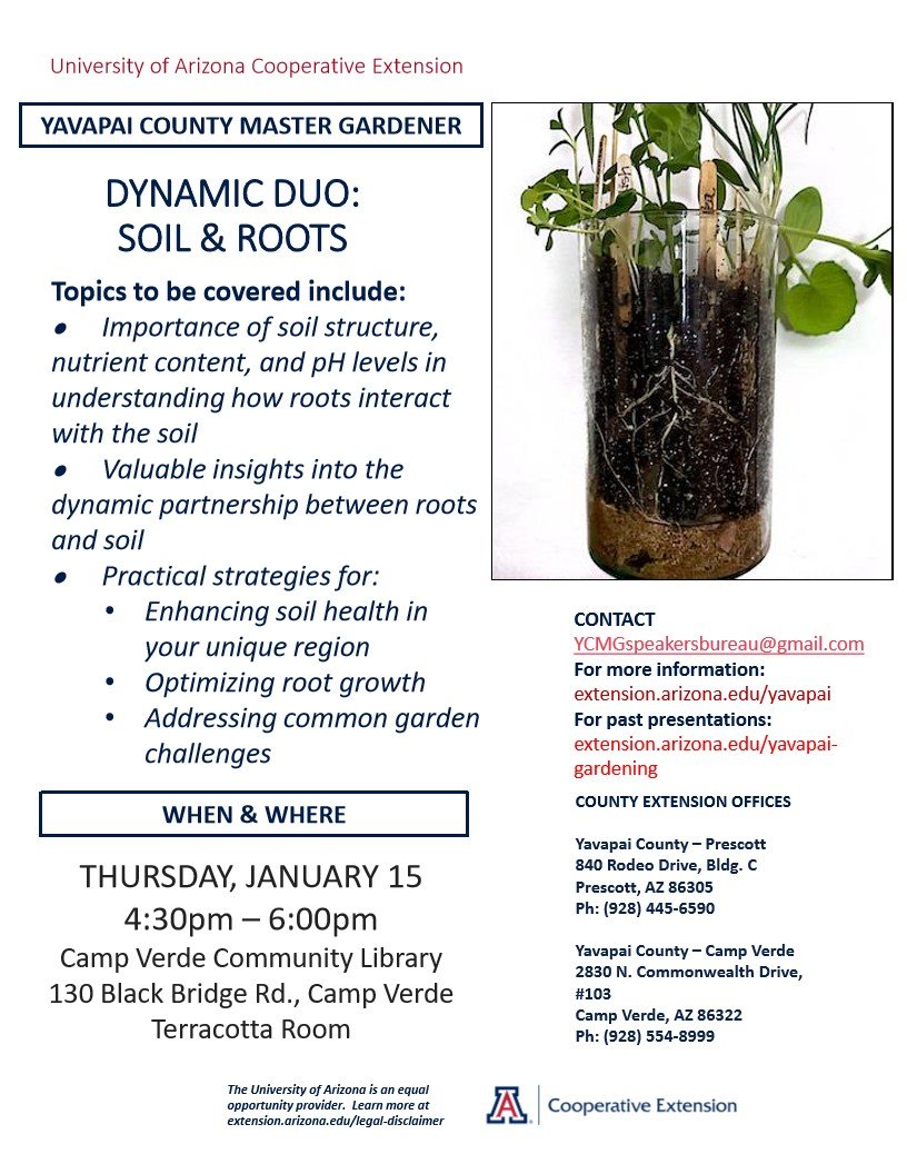 Soil and Roots flyer CampVerde 1 1