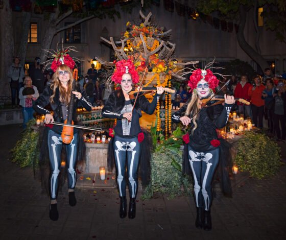 Urban Electra Day of the dead 3