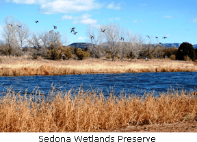 20130308_Wetlands1