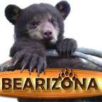 logo_bearizona2