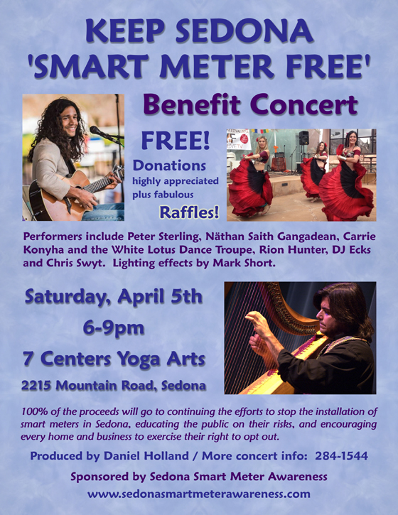 20140329_Smart-Meters-SSMA