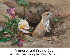 20140610_primrose-and-Prairie-dog