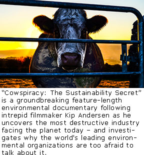 20150411_Cowspiracy-Cow