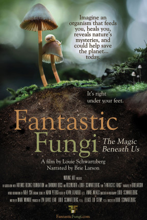 “Fantastic Fungi”, directed by Louie Schwartzberg, is a consciousness-shifting film that takes us on an immersive journey through time and scale into the magical earth beneath our feet, an underground network that can heal and save our planet.