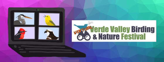 The Verde Valley Birding & Nature Festival is now Virtual