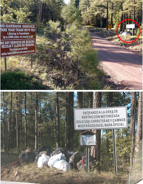 This is one of many examples found across Coconino National Forest.  These particular photos were taken May 18, 2020 at the entrance of Forest Road 535 off State Route 89A above Oak Creek Canyon.