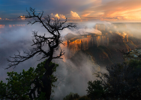 Wotan’s Throne in the Mist:  The clouds begin to lift moments before sunset revealing Wotan's Throne. From Cape Royal on the North Rim of Grand Canyon National Park.