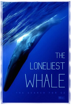 “The Loneliest Whale” is a cinematic quest to find the “52 Hertz Whale,” which scientists believe has spent its entire life in solitude calling out at a frequency that is different from any other whale.