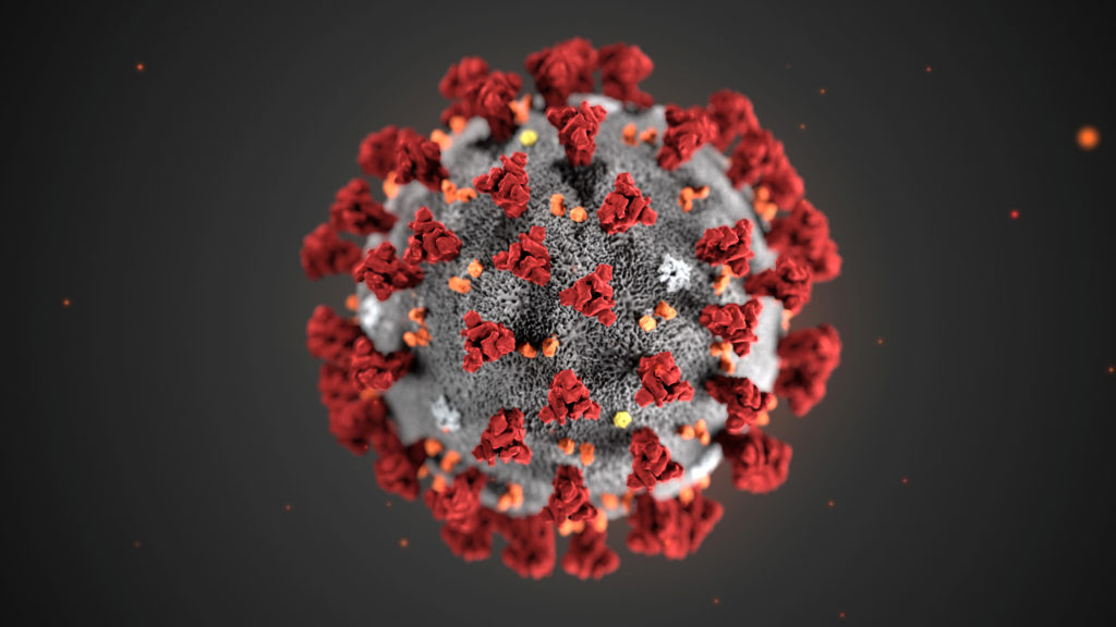 The ultrastructural morphology exhibited by the 2019 Novel Coronavirus (2019-nCoV), which was identified as the cause of an outbreak of respiratory illness first detected in Wuhan, China, is seen in an illustration released by the Centers for Disease Control and Prevention (CDC) in Atlanta, Georgia, U.S. January 29, 2020. Alissa Eckert, MS; Dan Higgins, MAM/CDC/Handout via REUTERS.  THIS IMAGE HAS BEEN SUPPLIED BY A THIRD PARTY. MANDATORY CREDIT - RC2WPE9DIU7K