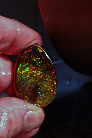 The gem black opal I extracted