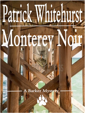 20130718_Monterey-Noir-Cover