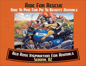 20130810_Ride-for-Rescue-Card-front1