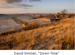 20131119_David-Simmer---Down-Time1