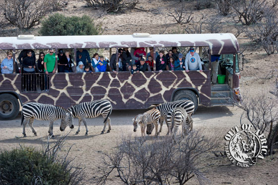 20140109_African-Bush-Safari-Experience-031