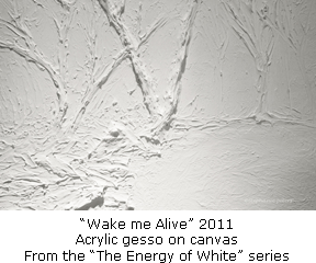 20140122_Stephanie_Peters_Wake_Me_Alive2