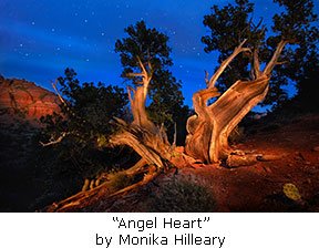 20151008_Angel_Heart_by_Monika_Hilleary