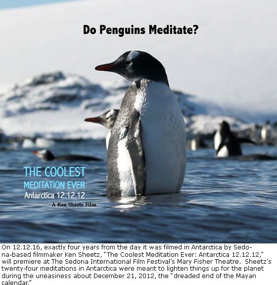 20161205_cool-penguin-poster