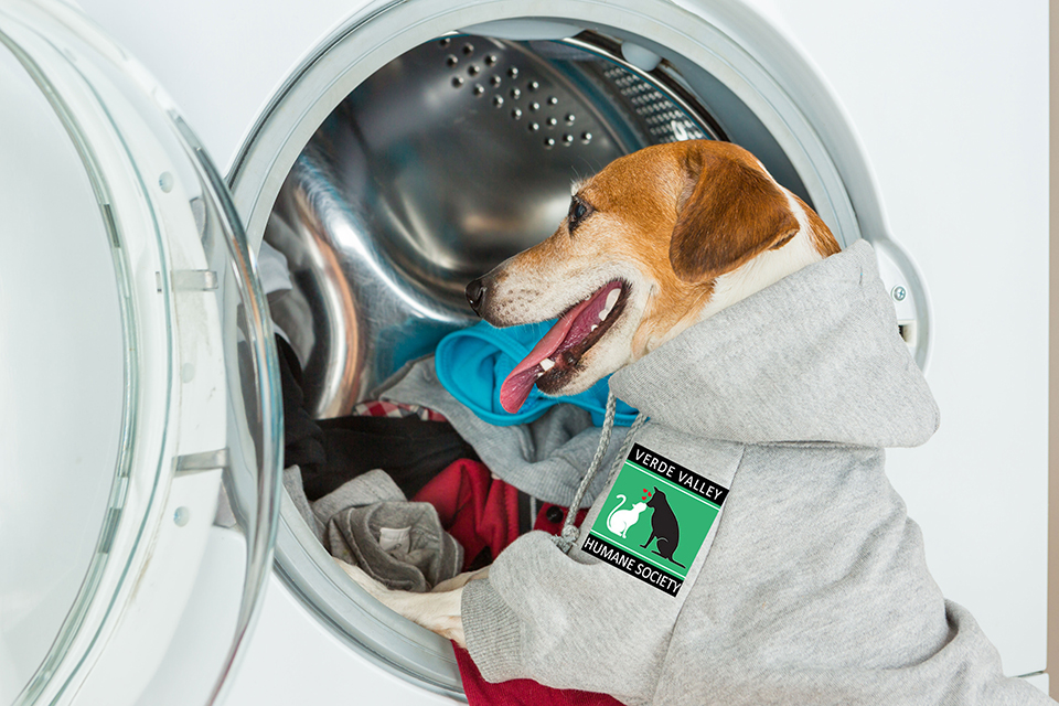 20170529_dog-and-washing-machine