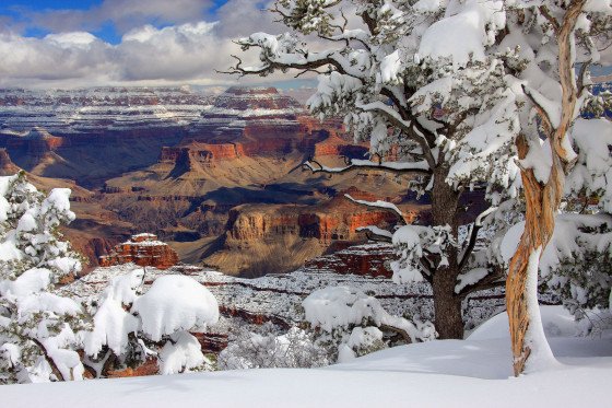 Grand Canyon Winter by Mike Koopsen