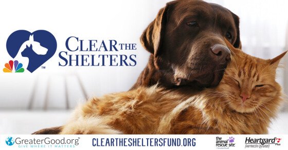 “Clear the Shelters” pet adoption campaign