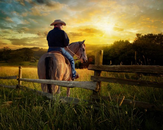 Cowboy Jim Fenced In