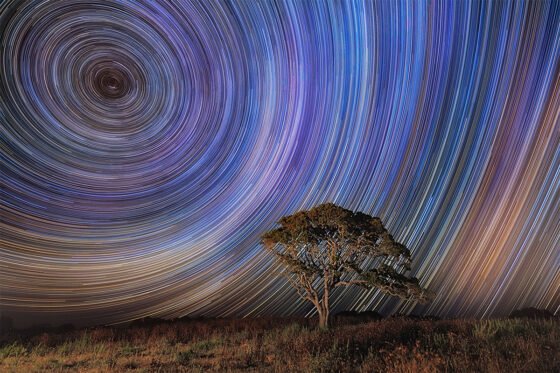 Star Colors by Rafael Pons