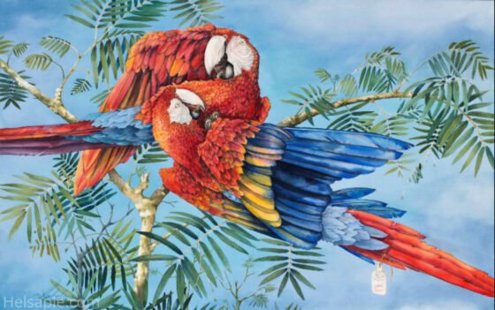 Celebrating Sedona female artists for Women’s History Month Scarlet Macaw Chicks by Mary Helsaple