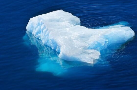 The Big Reveal 20220325 amaya