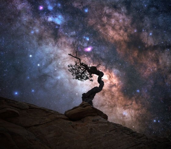 20220410 Astonish 4K