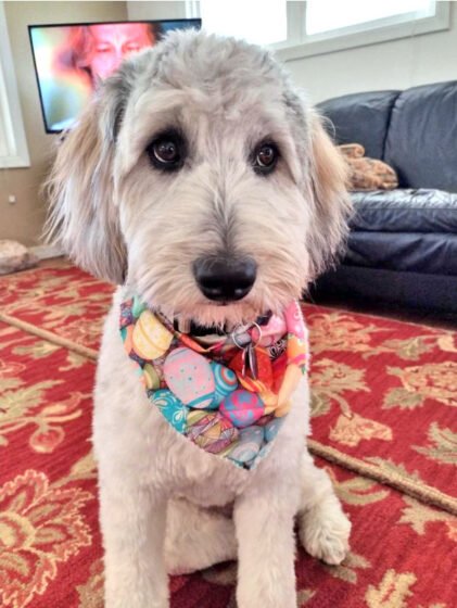 Throw It All Out 20220715 amaya