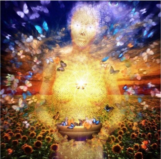 Fully Human 20220906 amaya