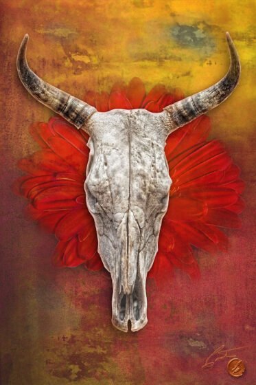 Take Your Photography to the Next Level Homage to Georgia O’Keeffe