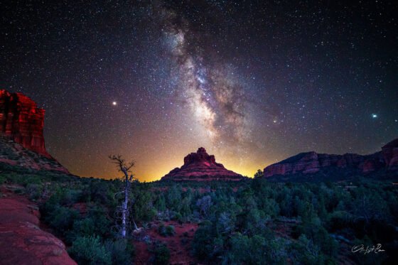 City art exhibit celebrates nature with three artists Stan Rose - Bell Stars