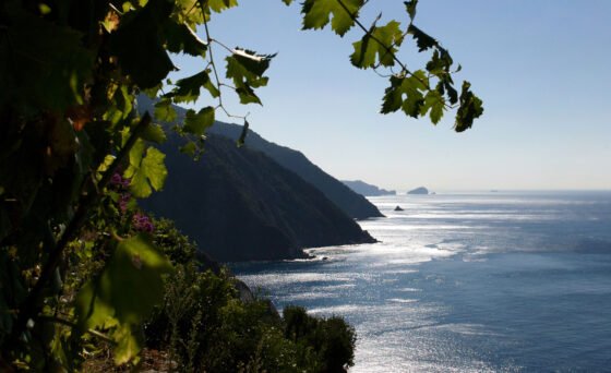 Each year, three million tourists descend on Italy's Cinque Terre, five villages with a thousand-year history and fewer than five thousand residents. “Vendemmia” explores the fight for sustainable tourism and environmental balance as this UNESCO World Heritage Site faces political change, natural disaster, and conflicting goals. Is it possible to preserve the future without sacrificing the past?