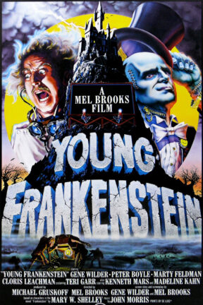 Respected medical lecturer and neurosurgeon Dr. Frederick Frankenstein (Gene Wilder) learns that he has inherited his infamous grandfather's estate in Transylvania. Arriving at the castle, Dr. Frankenstein soon begins to recreate his grandfather's experiments with the help of servants Igor (Marty Feldman), Inga (Teri Garr) and the fearsome Frau Blücher (Cloris Leachman).