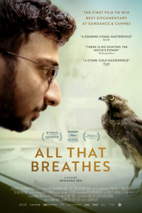 Amid civil unrest and environmental uncertainty in New Delhi, two brothers devote their lives to protecting one near-casualty of the tumultuous times: the black kite, a majestic bird of prey essential to their city’s ecosystem.