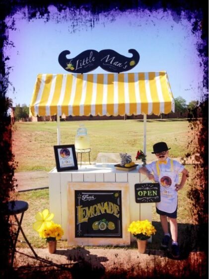 Lemonade Stand 20221124 amaya