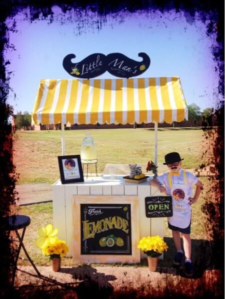 Lemonade Stand Lemonade Stand