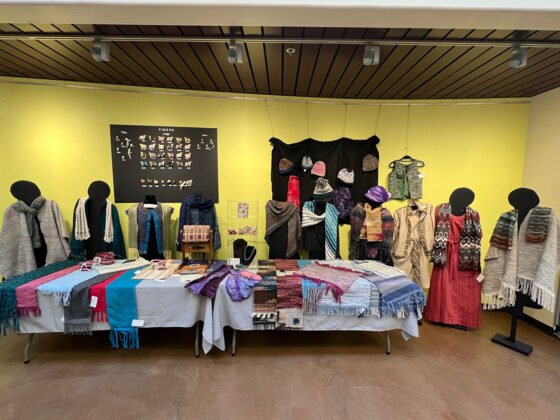 Verde Valley Weavers & Spinners Guild items on display at Camp Verde Community Library 20221217 WeaversSpinners1