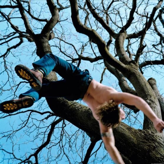 Falling 20230110 amaya