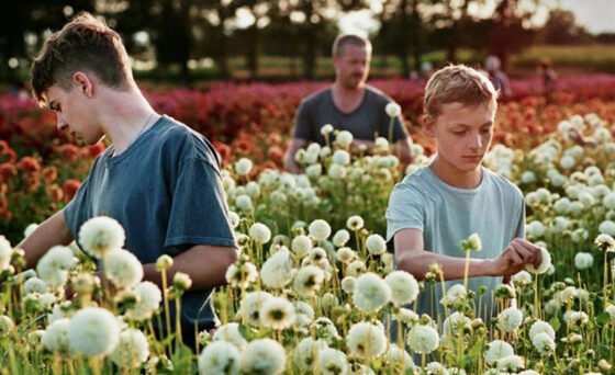 Winner of the Grand Jury Prize at the Cannes Film Festival, “Close” is an emotionally transformative and unforgettable portrait of the intersection of friendship and love, identity and independence, and heartbreak and healing.