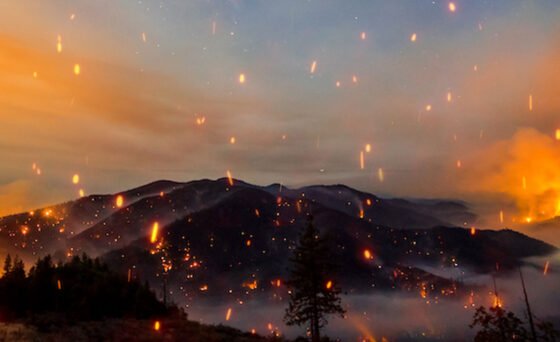 Filmed across the West and narrated by Golden Globe and Emmy nominated actor David Oyelowo, “Elemental: Reimagine Wildfire” takes viewers on a journey with the top experts in the nation to better understand fire.