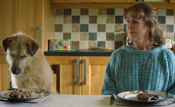 "Róise and Frank" follows grief-stricken widow Róise who becomes convinced that a stray dog is her husband Frank reincarnated. The film won the Directors’ Choice for Best International Feature Film at the recent Sedona Film Festival.