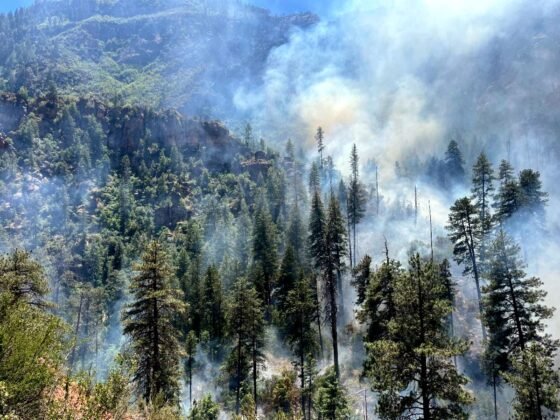 Sedona-area Miller Fire at roughly 19 acres, resources responding 20230524 usfs millerfire
