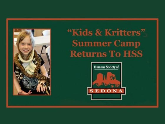 Kids & Kritters Camp Returns Humane Society of Sedona