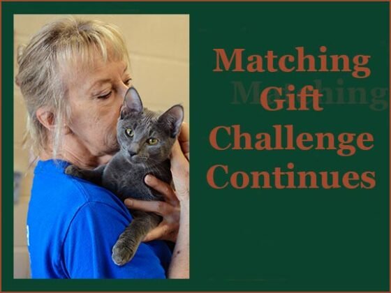 “Matching Gift Challenge” Continues Until June 30, 2023 20230611 HSSWebsiteHeader MatchingChallenge 2023