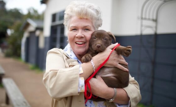 Sedona Film Fest presents ‘Koko: A Red Dog Story’ premiere June 24-29 This heartwarming film explores the life of one of Australia’s most famous canines: Koko, the Red Dog.