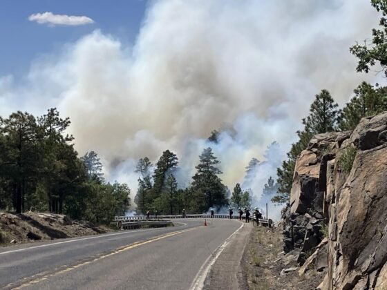 Team continues successful management of Wilbur Fire 20230621 usfs wilbur photo